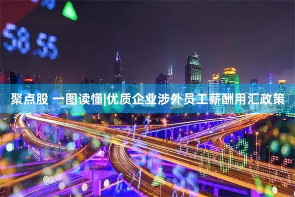 聚点股 一图读懂|优质企业涉外员工薪酬用汇政策
